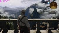 witcher3_2016_08_05_00_32_11_603.jpg