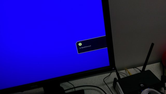 IMAG0344.jpg