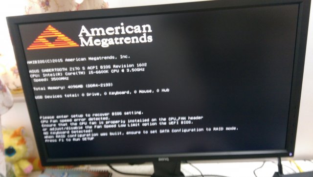 IMAG0346.jpg