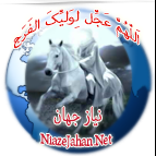 niazejahani