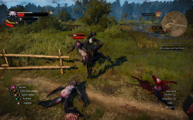 witcher3 2017-04-05 02-20-24-243.jpg