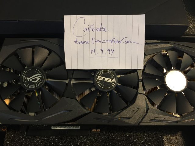 IMG_4421 (Large).JPG