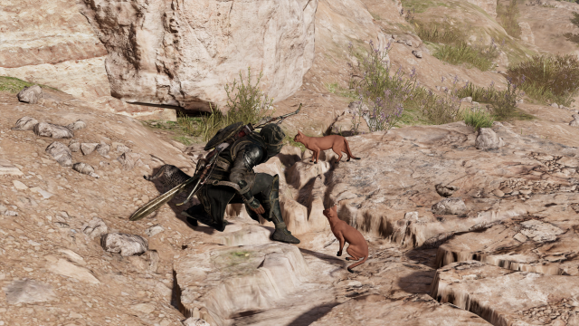 Assassin's Creed® Origins2018-2-13-23-55-30.png