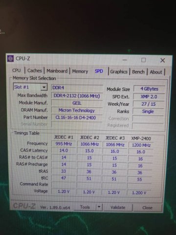 WhatsApp Image 2019-05-23 at 15.49.08(3).jpeg