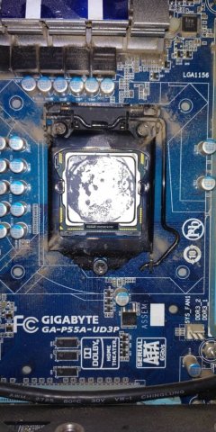 WhatsApp Image 2018-11-19 at 23.54.33(6).jpeg