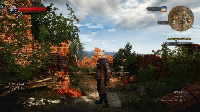 witcher3_2019_10_26_16_46_01_206.thumb.jpg.2ae80e680b6bcb2fc696ca31ff2a7c9e.jpg