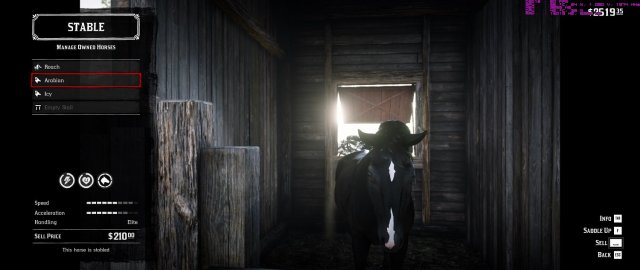 RDR2_2019_11_29_03_29_12_469.thumb.jpg.4995a5fe89d8f4721405502d2f5fa249.jpg
