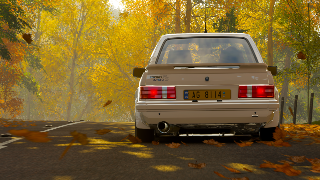1253892002_ForzaHorizon45_21_20206_44_37PM.thumb.png.c63aa3b4124a2f97ab0257ecd18238f7.png