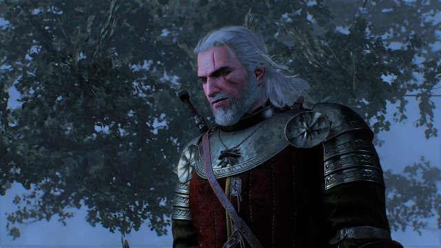 witcher3 2020-11-18 15-50-59-63.jpg