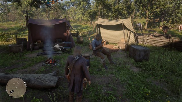 RDR2_2020_11_19_22_04_35_792.jpg