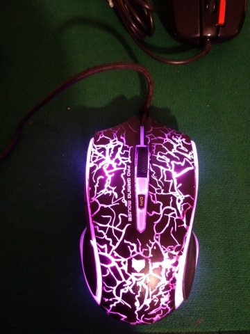 20201201_230119 [50%].jpg