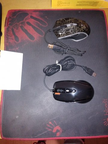 20201207_151953 [50%].jpg