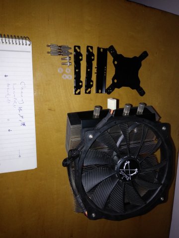 20210604_134341 [50%].jpg