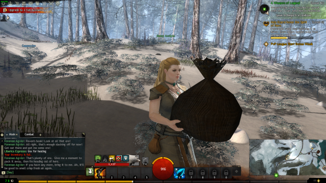 Guild Wars 2 Screenshot 2021.08.06 - 11.12.00.78.png