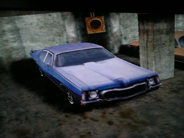 2022-07-11-9724 - Copy.jpg