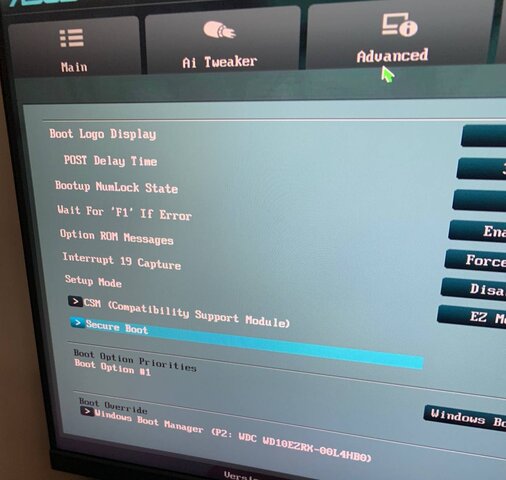 photo_2022-08-23_20-11-00 (2).jpg