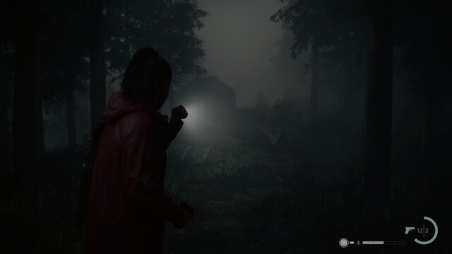 1804985392_AlanWake2_20240205225715.thumb.jpg.c9f439981116c575b1a49db30cb9998c.jpg